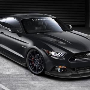 Meet your Posher, Luis